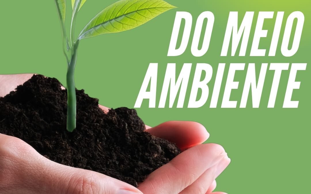 DIA MUNDIAL DO MEIO AMBIENTE